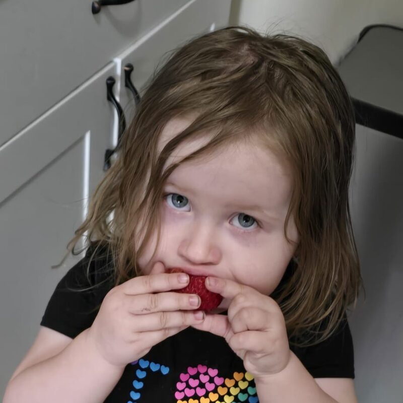 Snack break 🍓
